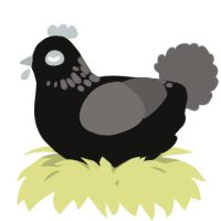 A black and grey chicken with a neck-speckle pattern