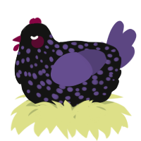 A black and overcast chicken with a speckle pattern
