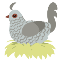 A silver and ash chicken with a lace pattern