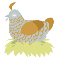 银金, a silver and gold chicken with a lace pattern