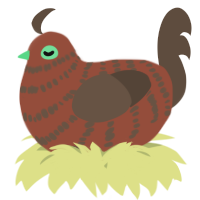 A russet and bark chicken with a bar pattern