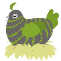A grey and chartreuse chicken with a bar pattern