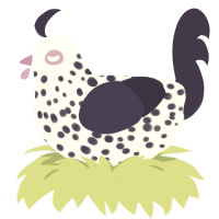 Mold, a mist and navy chicken with a speckle pattern