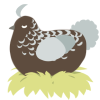 A bark and silver chicken with a half-lace pattern