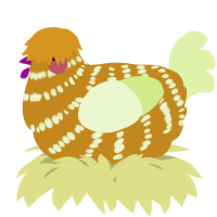 A ochre and apple chicken with a bar pattern