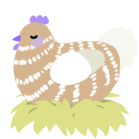 A beige and white chicken with a bar pattern