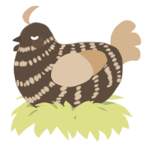 A bark and beige chicken with a bar pattern