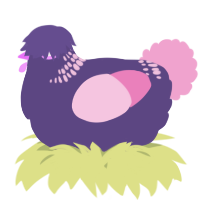A overcast and pink chicken with a neck-band pattern