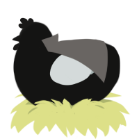 A black and silver chicken