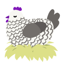 A white and grey chicken with a lace pattern