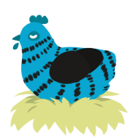 A cerulean and sable chicken with a bar pattern
