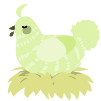 A apple chicken with a bar pattern