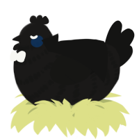 A sable and black chicken with a bar pattern