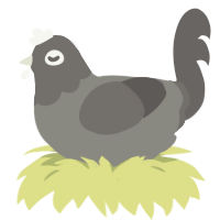 A ash and grey chicken with a head pattern