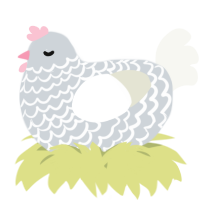 A mist and white chicken with a lace pattern