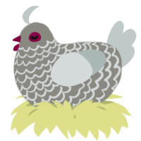 A ash and silver chicken with a lace pattern