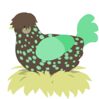 A bark and spring chicken with a speckle pattern