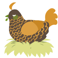 A bark and orange chicken with a lace pattern