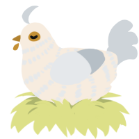 Eggy, a cream and mist chicken with a bar pattern