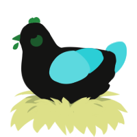 Peepers, a black and aqua chicken