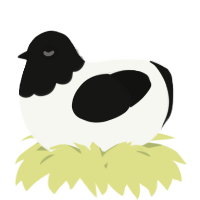 A white and black chicken with a head pattern