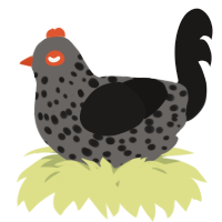 A grey and sable chicken with a speckle pattern