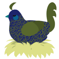 A navy and olive chicken with a double-lace pattern