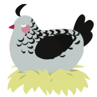 A silver and black chicken with a half-lace pattern