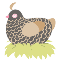 A grey and beige chicken with a lace pattern