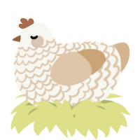 A white and beige chicken with a lace pattern