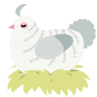 A white and silver chicken with a half-bar pattern
