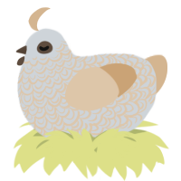 A mist and beige chicken with a double-lace pattern