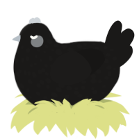 A sable chicken with a speckle pattern