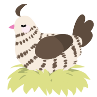 A cream and bark chicken with a bar pattern