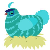 A turquoise and aqua chicken with a bar pattern