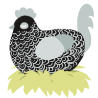 A sable and silver chicken with a double-lace pattern