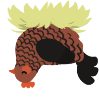 A russet and sable chicken with a lace pattern