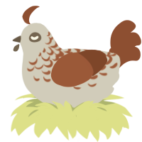 Fir, a silver and russet chicken with a half-lace pattern