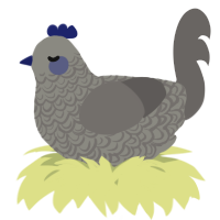 A ash and grey chicken with a double-lace pattern