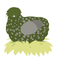 A olive and ash chicken with a speckle pattern