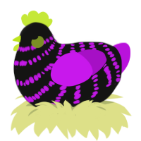 Midwest Emo, a black and amethyst chicken with a bar pattern