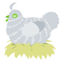 A mist chicken with a bar pattern