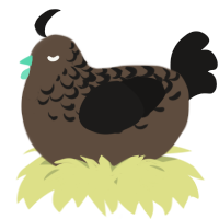 A bark and sable chicken with a half-lace pattern