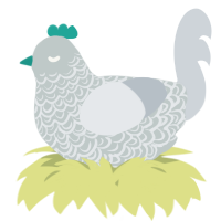 A silver and mist chicken with a double-lace pattern