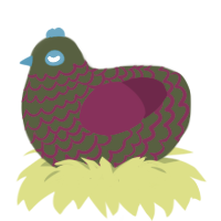 Drain, a olive and maroon chicken with a lace pattern