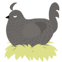 A grey chicken with a lace pattern