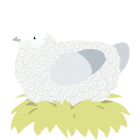 A white and mist chicken with a double-lace pattern