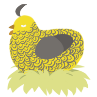 Camellia, a yellow and grey chicken with a double-lace pattern