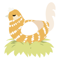 A honey and cream chicken with a bar pattern