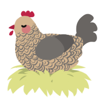 A beige and grey chicken with a double-lace pattern